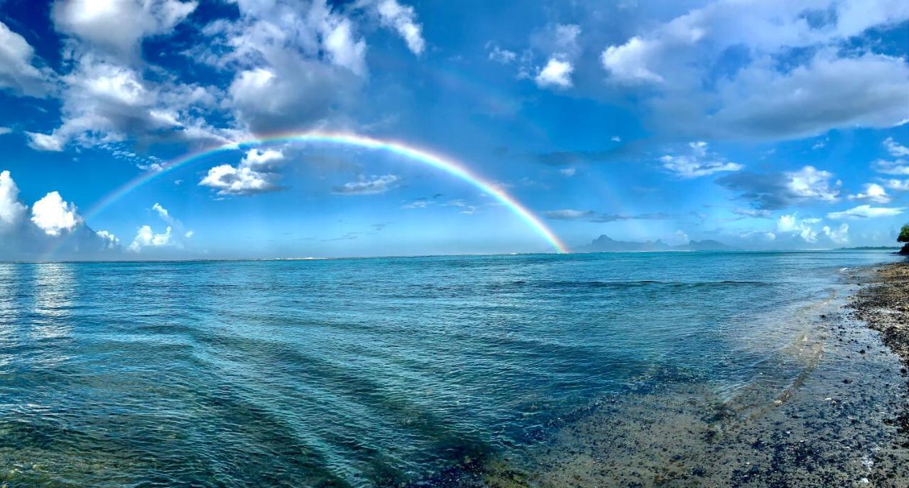 Superbe Bord De Mer, Acces Lagon Et Piscine Privee Paea Exteriér fotografie